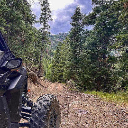 ATV on forest trail