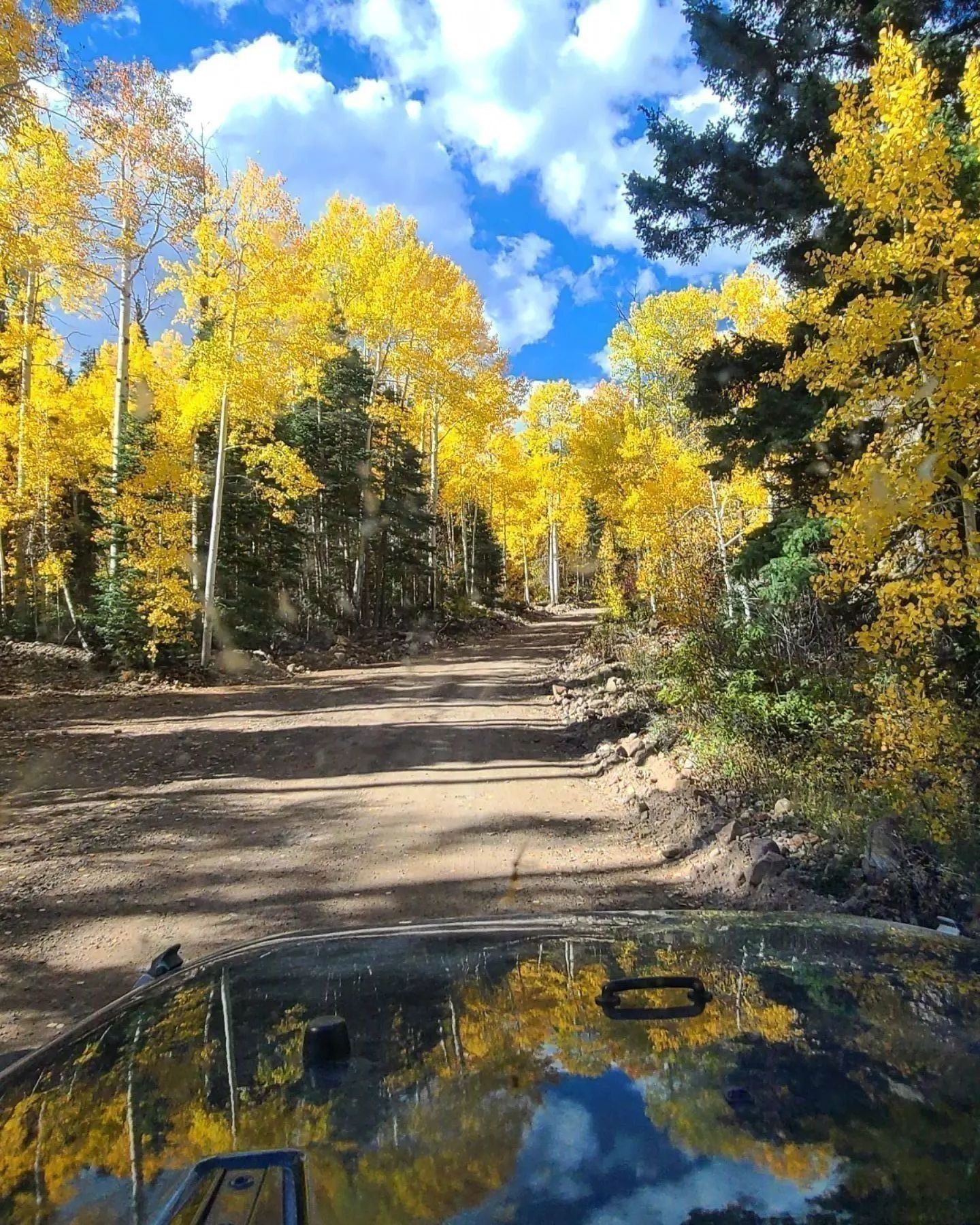 Paiute Trail fall foliage and aspens